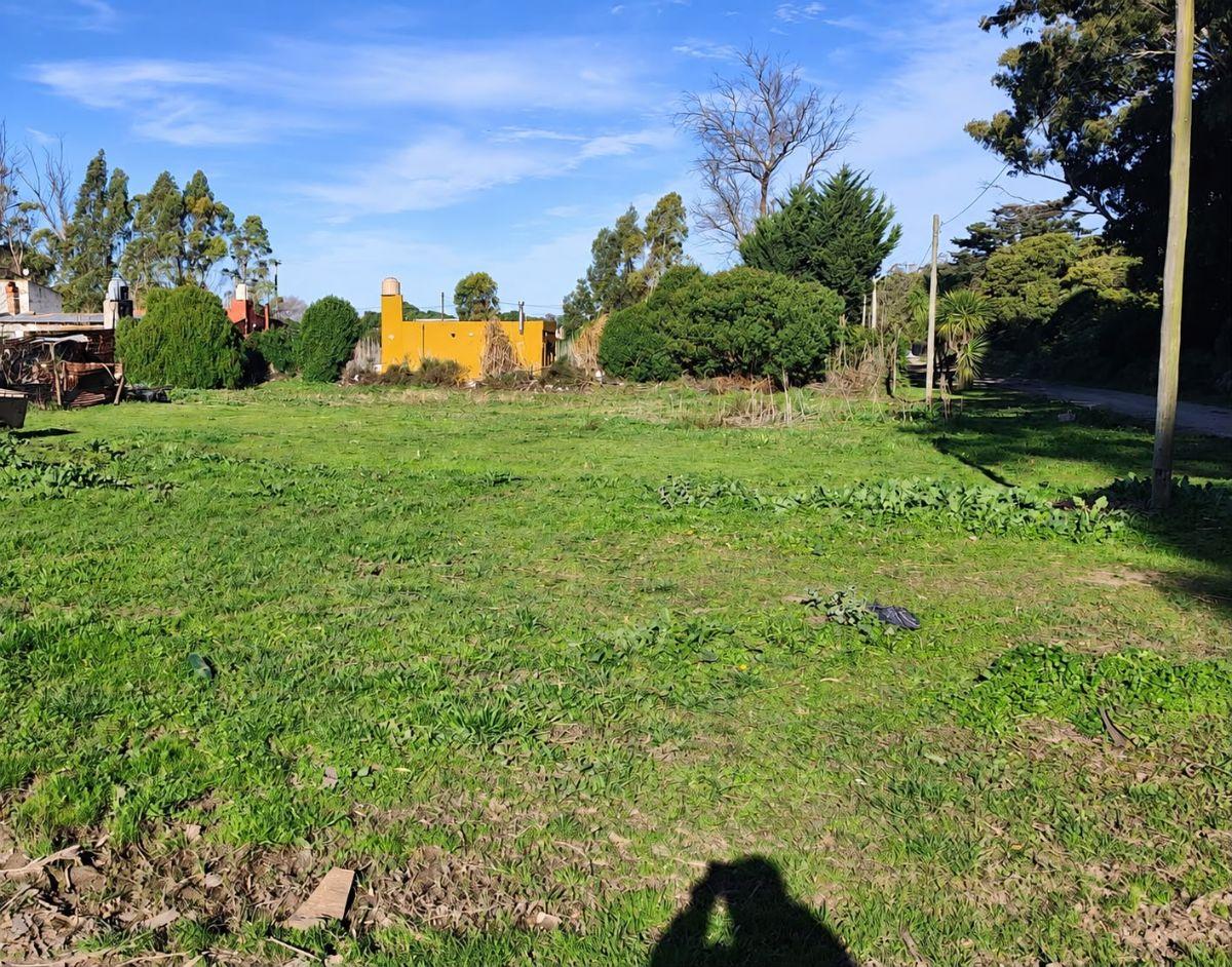 Foto de SE VENDEN 2 LOTES CONTIGUOS 567 METROS TOTALES MIRAMAR, imagen 1