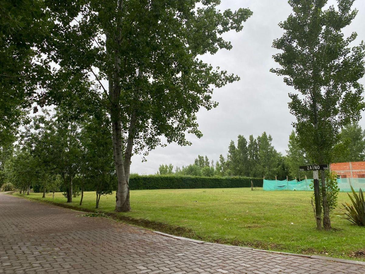 Foto de LOTE-LOMAS DE PETION 1500M2, imagen 5