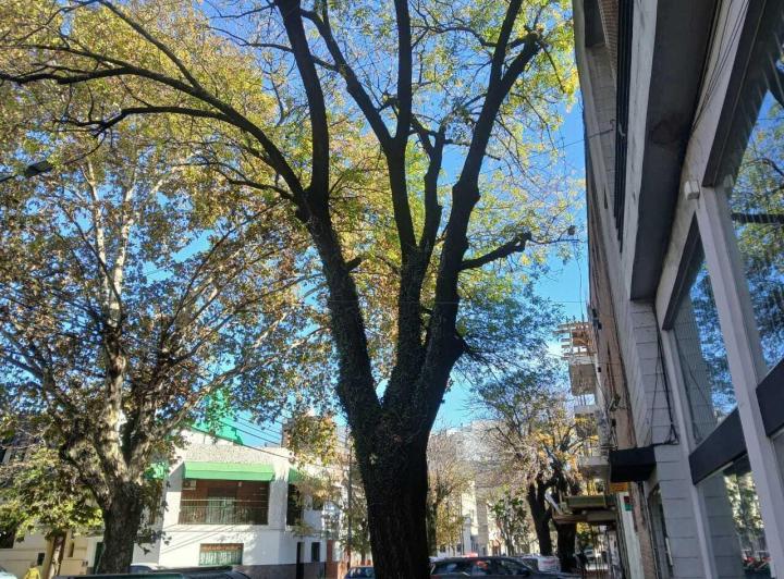 Venta Local Comercial en Villa Ortuzar 3