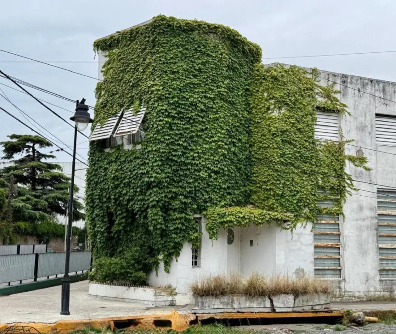 VENTA Casa en lote propio con galpón, depto 2 ambientes y jardin - Rivadavia 690 2