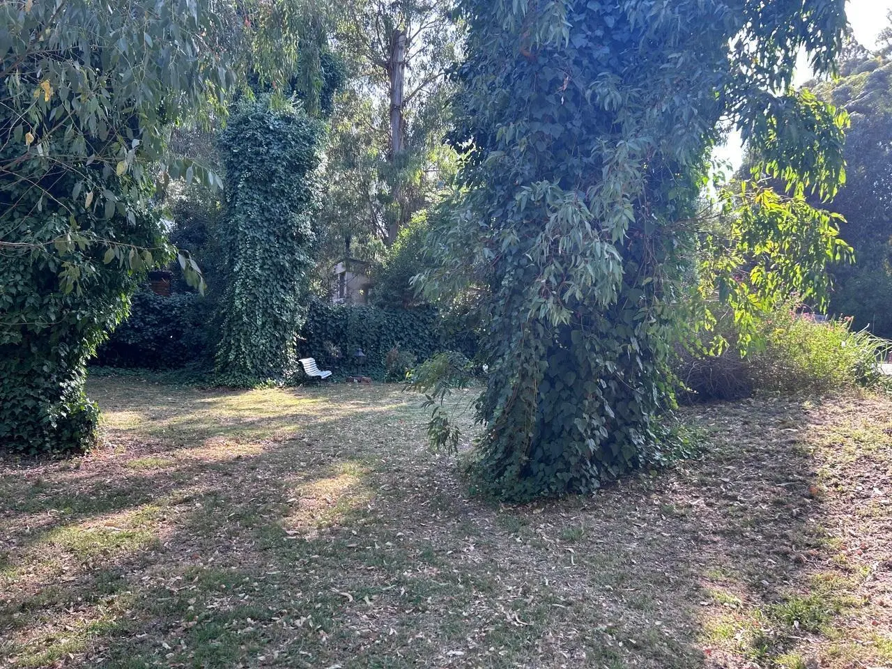 Venta lote terreno en Bosque Peralta Ramos 4