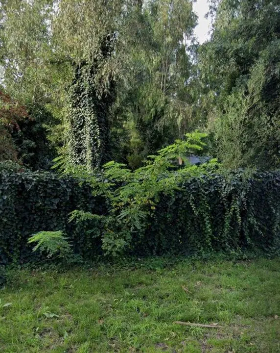 Venta lote terreno en Bosque Peralta Ramos 2