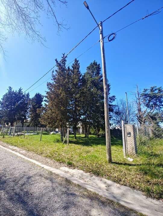 Foto de Excelente Terreno arbolado de 300 m2., imagen 3