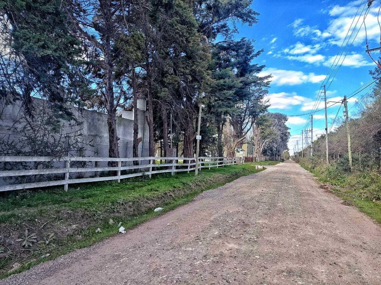 Foto de Excelente Terreno arbolado de 300 m2., imagen 5