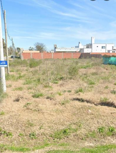 Foto de Terreno en Alejandro Petion, imagen 3