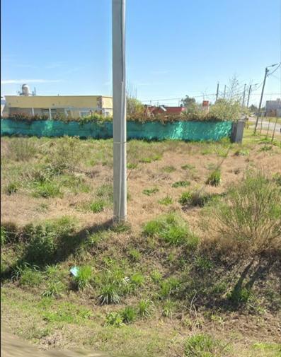 Foto de Terreno en Alejandro Petion, imagen 2