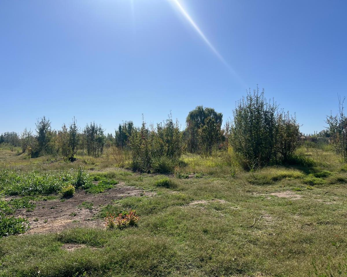Terreno en  Cinco saltos- Rio negro