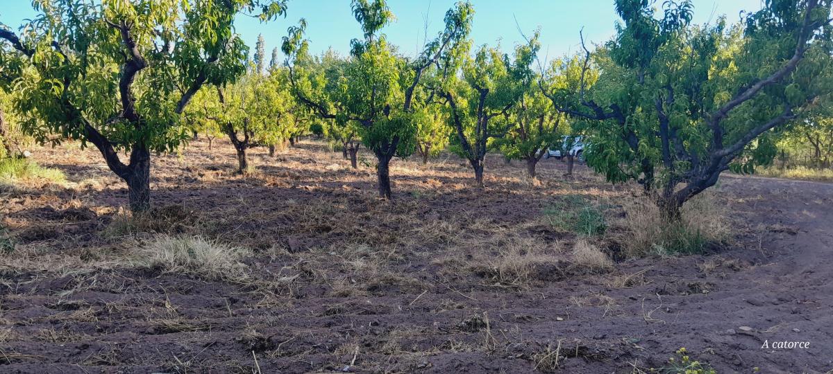 Aguirre Inmobiliaria Comercializa Hermosa Finca en Goudge 3
