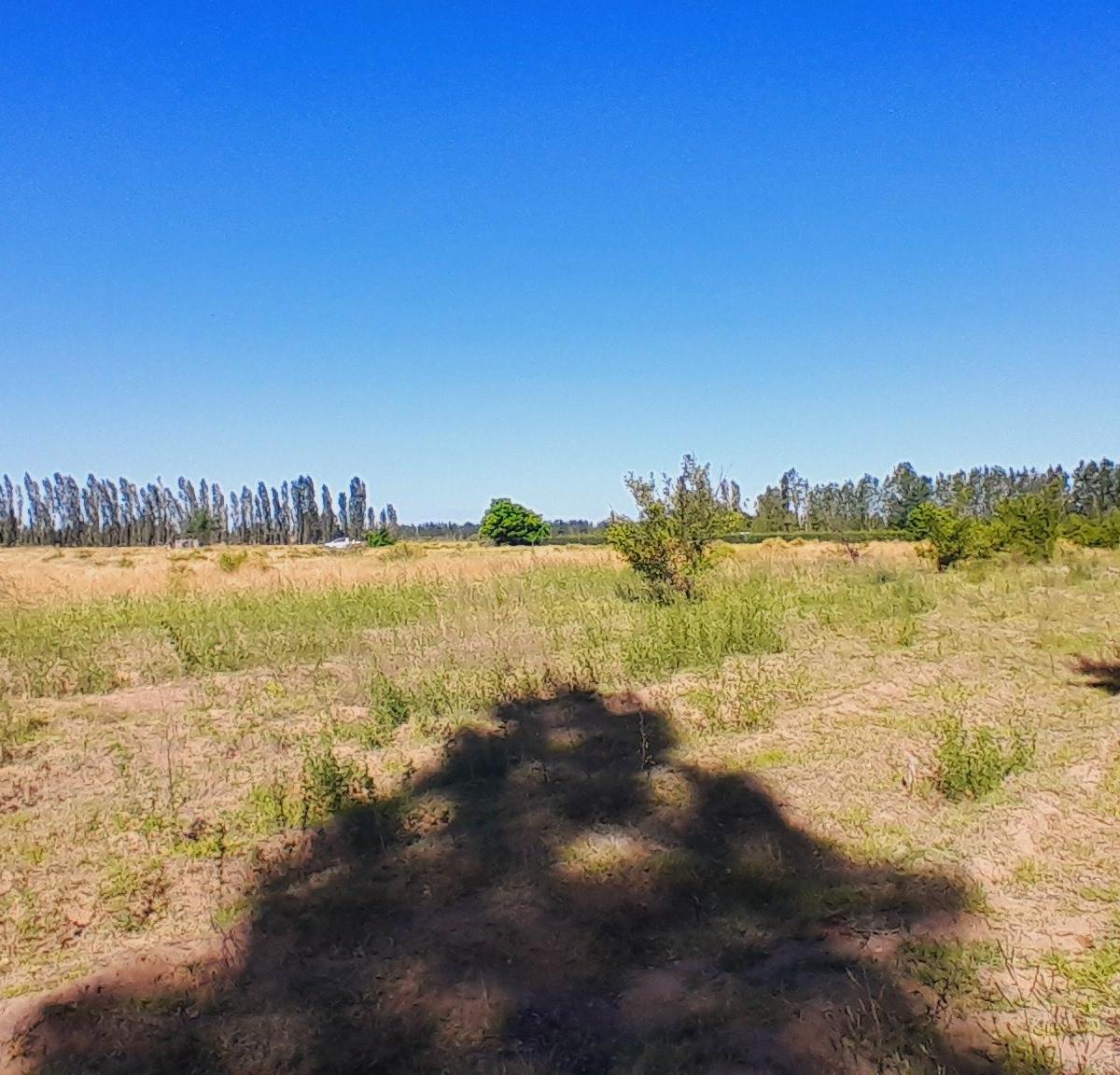 Aguirre Inmobiliaria Vende Finca 7 Hectáreas en Las Paredes. 4