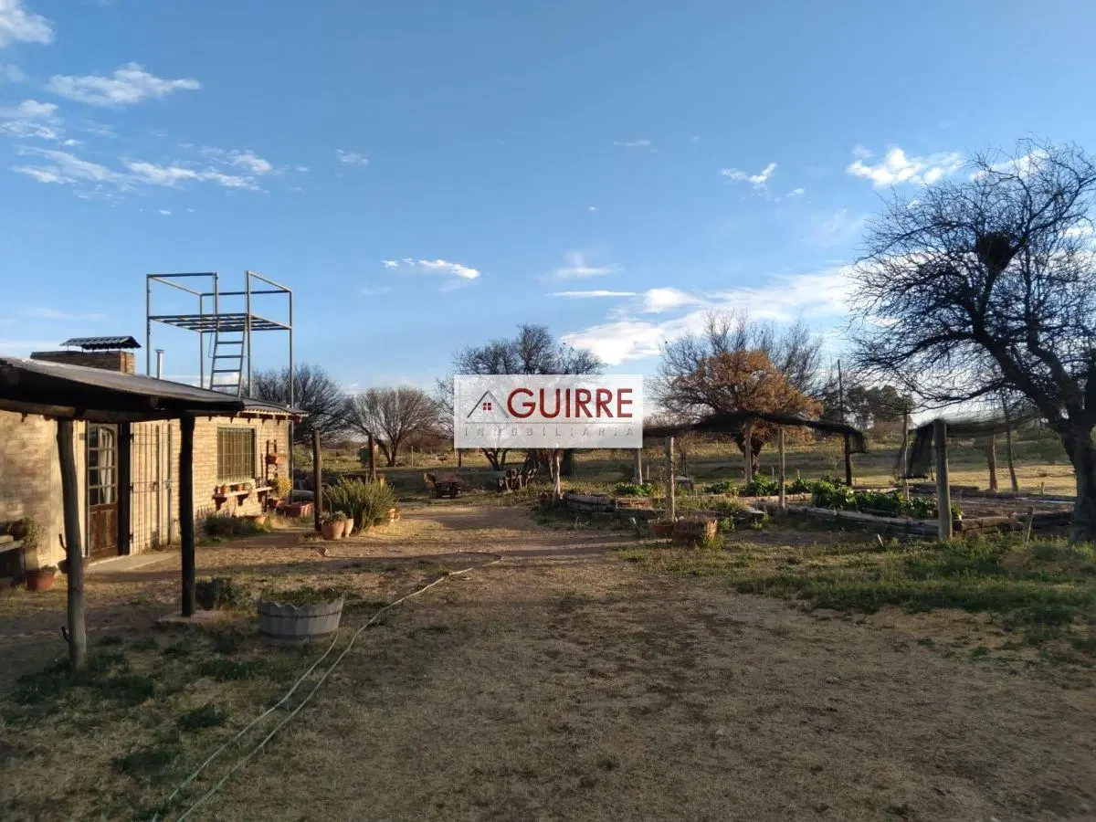 OPORTUNIDAD DE INVERSIÓN "FINCA DE 100HA" EN GOUDGE- SAN RAFAEL-MENDOZA 2