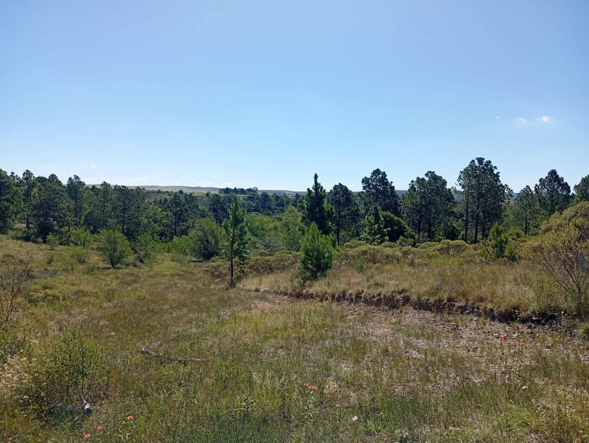 ¡Vivi Tu Sueño en La Sierra! Lotes en Venta en La Cumbre 2