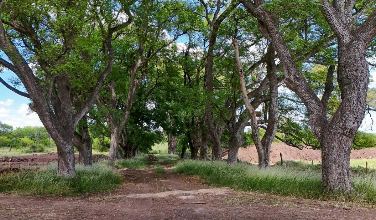Foto de Venta Lote, Barrio privado Estancia Carabassa- Pilar, imagen 1