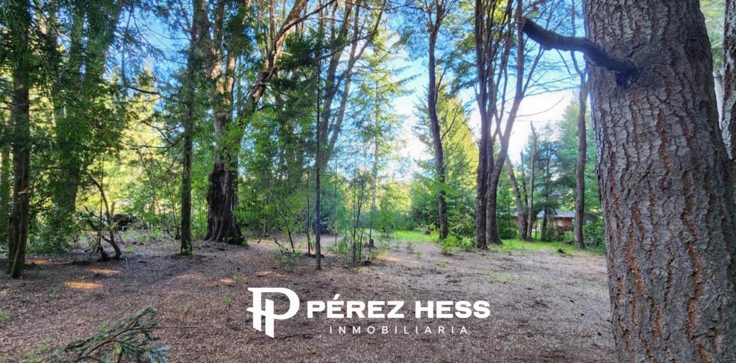 Foto de Casa equipada para 2 personas con amplio jardin de 3000 m2, imagen 3