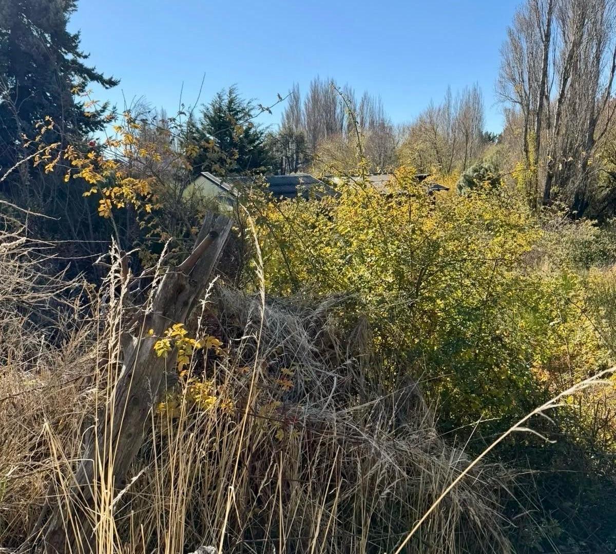Foto de Terreno - Bariloche, imagen 4