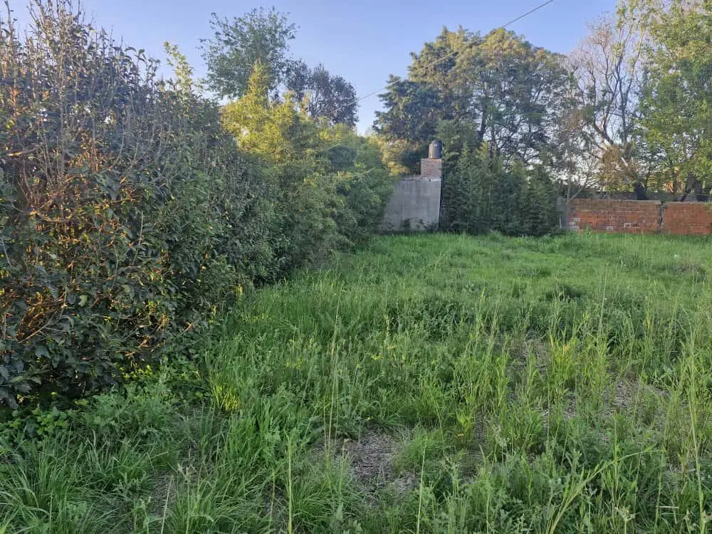 TERRENO EN ROLDAN - DON QUIJOTE ROLDANTE - 10X28.30 4
