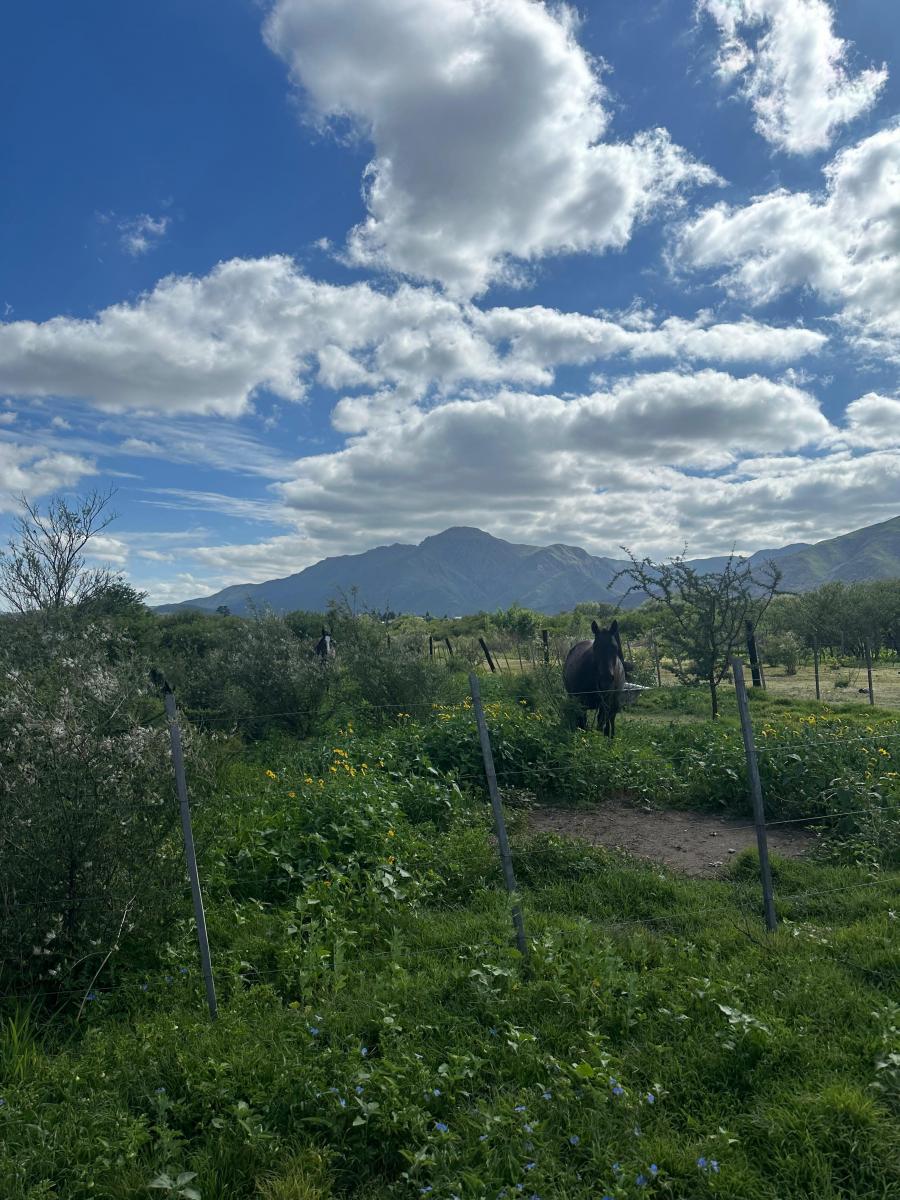 Terreno con Magnifica Vista Panorámica a Las Sierras Muy Privilegiada - Rio Dulce 4