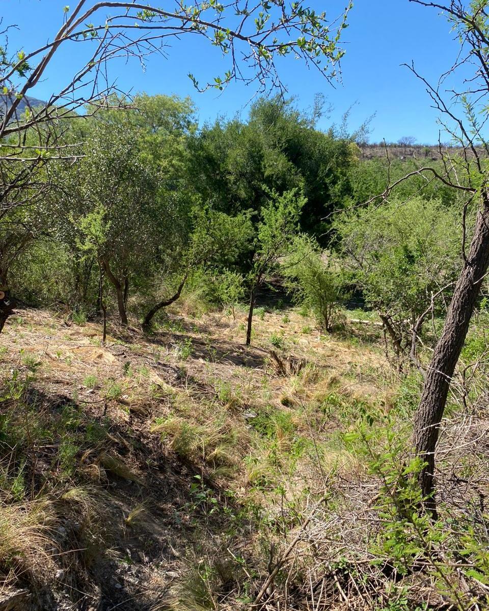 Sierra de La Ventana y Los Gigantes 2