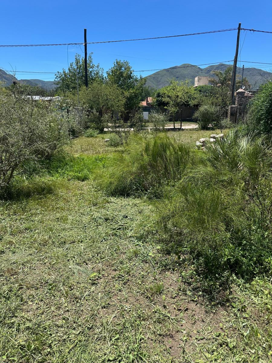 Proyecto Vista Privilegiada Terreno con Obra - Fidel Pelliza 4