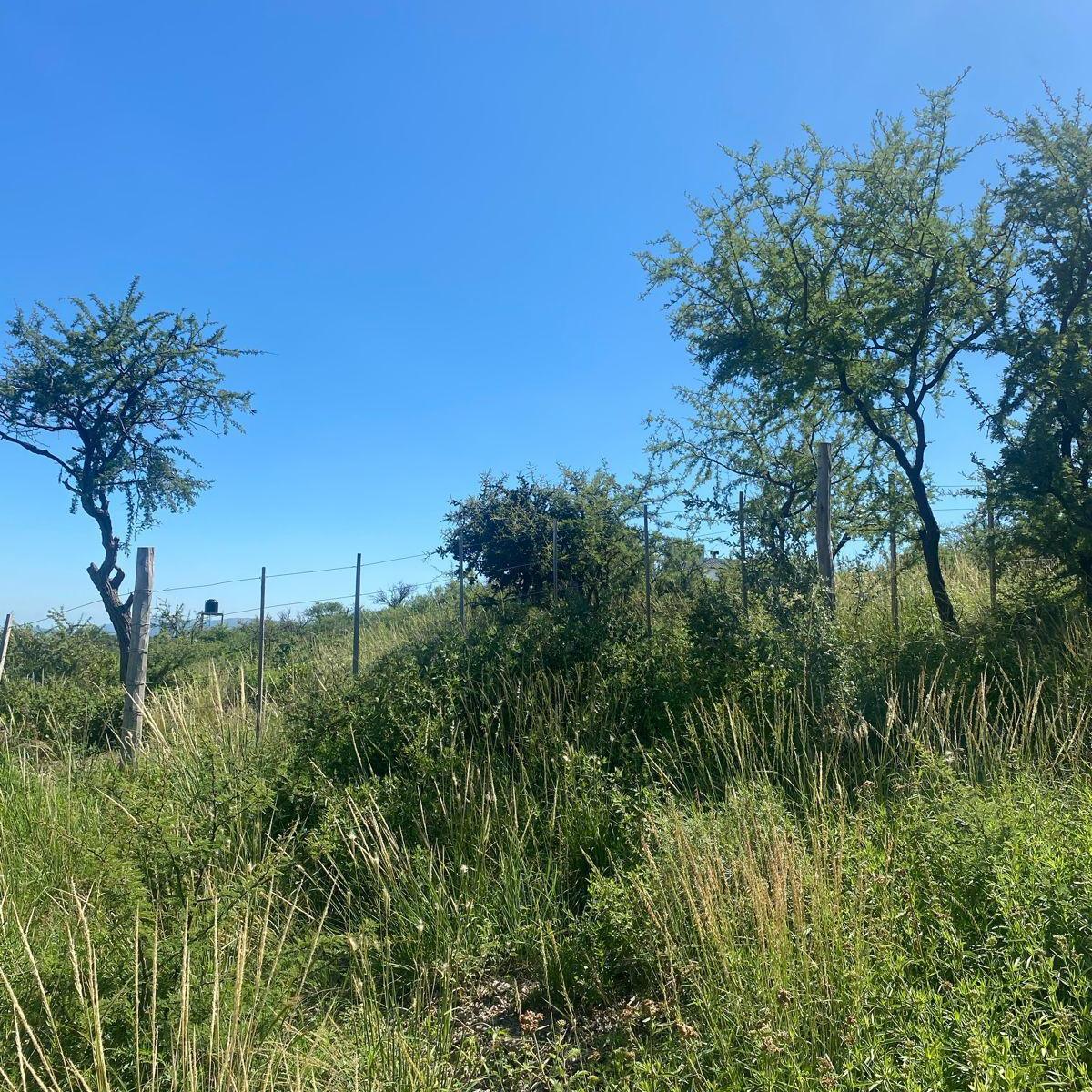 Ituzaingo y Las Acacias 910 2