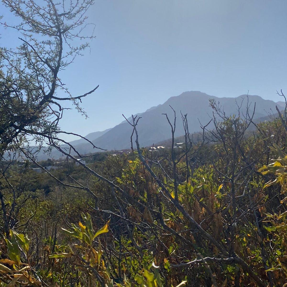 Ituzaingó y Sierra de La Ventana 1150 3