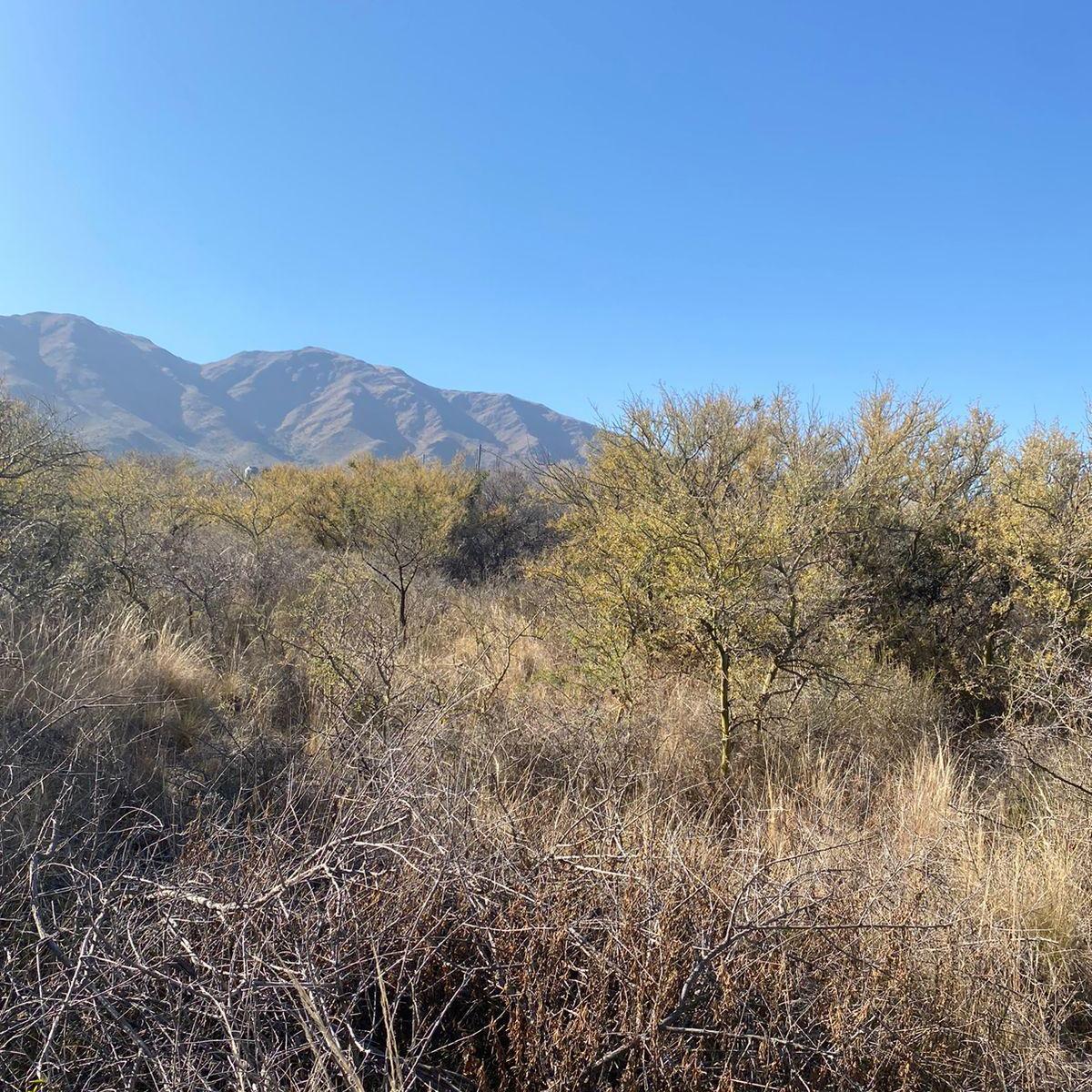 Ituzaingó y Sierra de La Ventana 1150 2