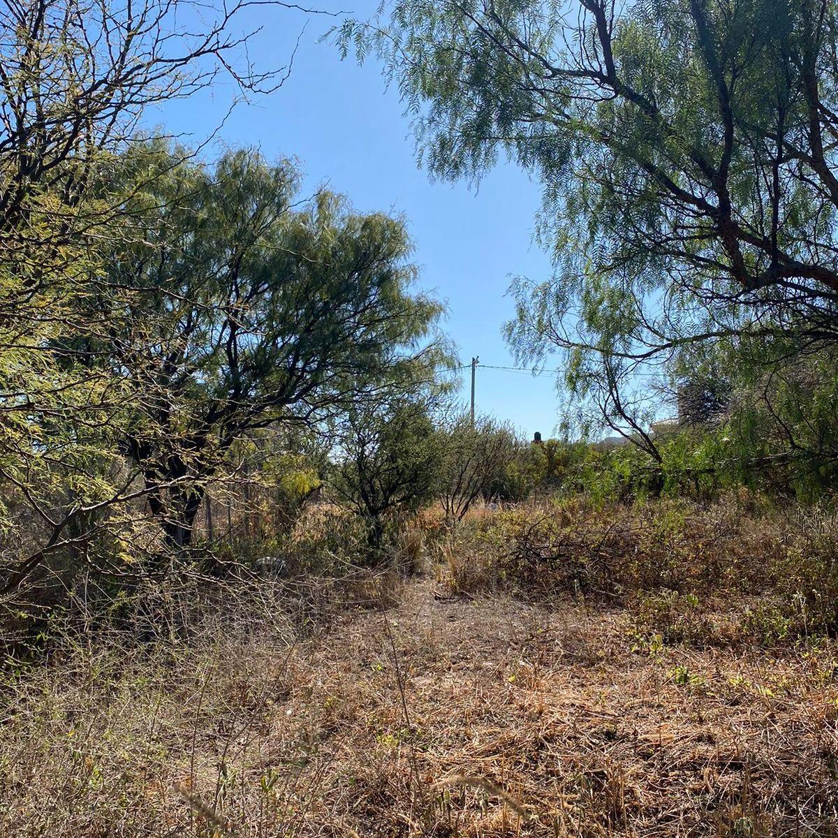 Los Terrones 1530 y 1550 4