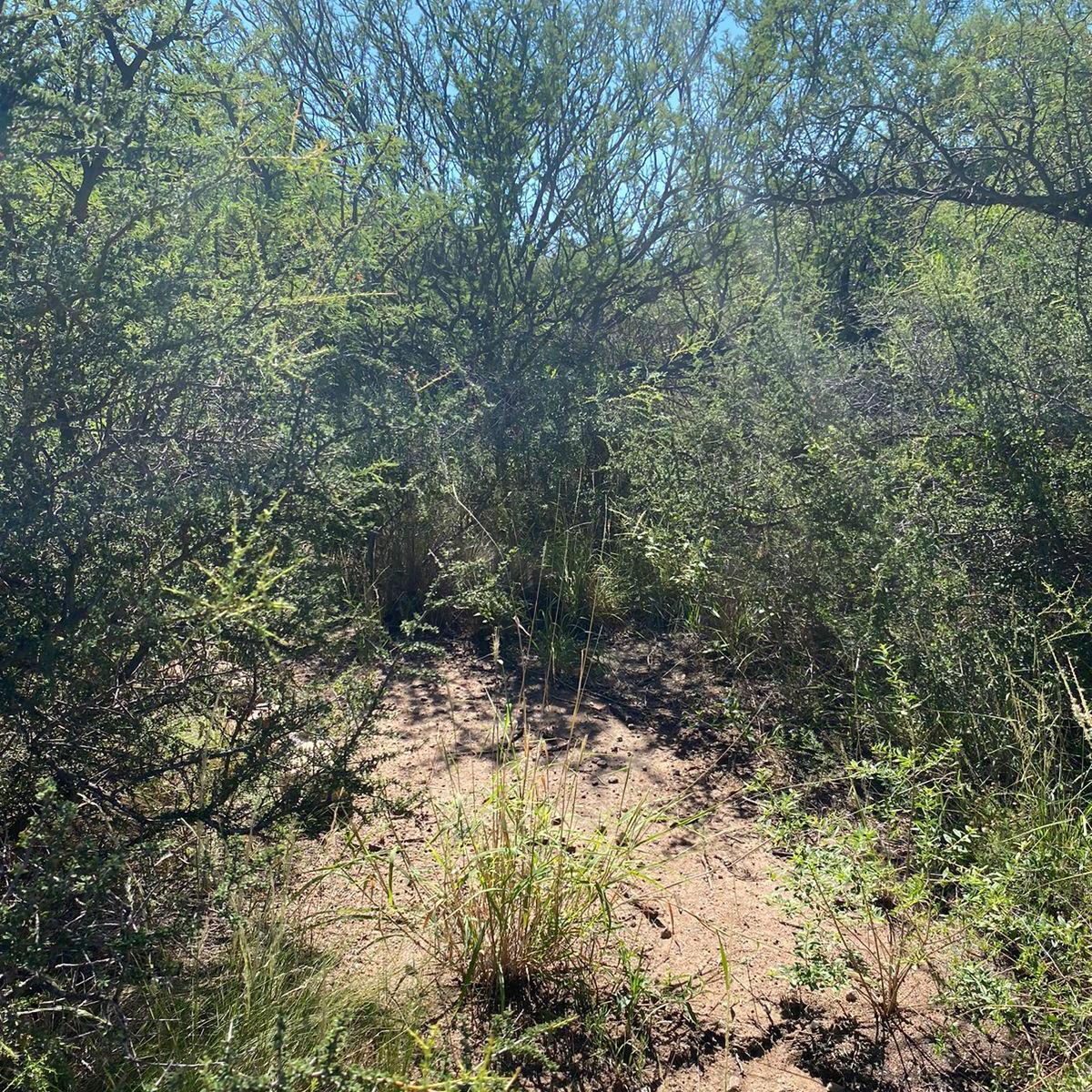 Santa Isabel - a 10 Cuadras de La Ruta Nacional 38 2