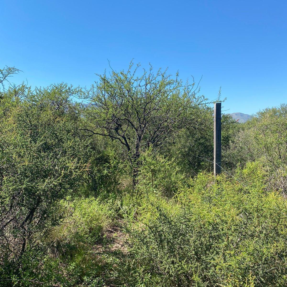 Santa Isabel - a 10 Cuadras de La Ruta Nacional 38 4