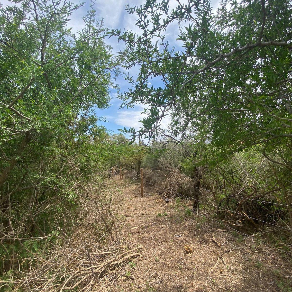 Las Acacias 460 - 450 m² a Media Cuadra de Bv Las Gemelas 5