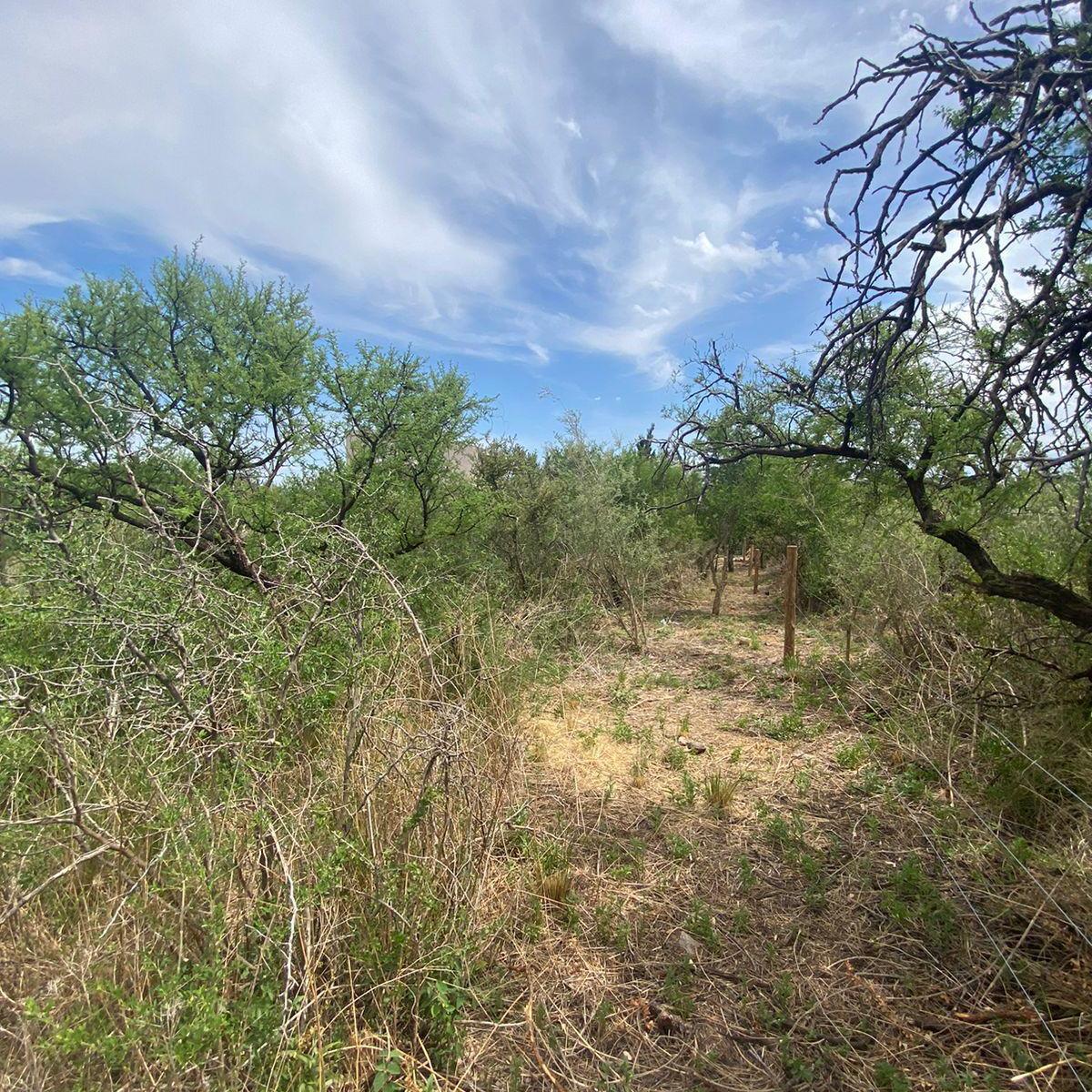 Las Acacias 460 - 450 m² a Media Cuadra de Bv Las Gemelas 3