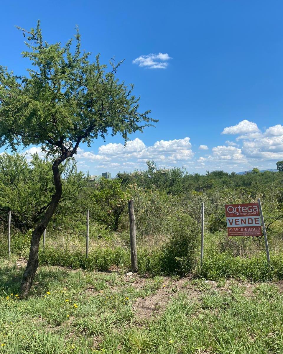 Los Molles y Los Aromos 1730 Tres Fracciones Contiguas con Frente a 2 Calles 5