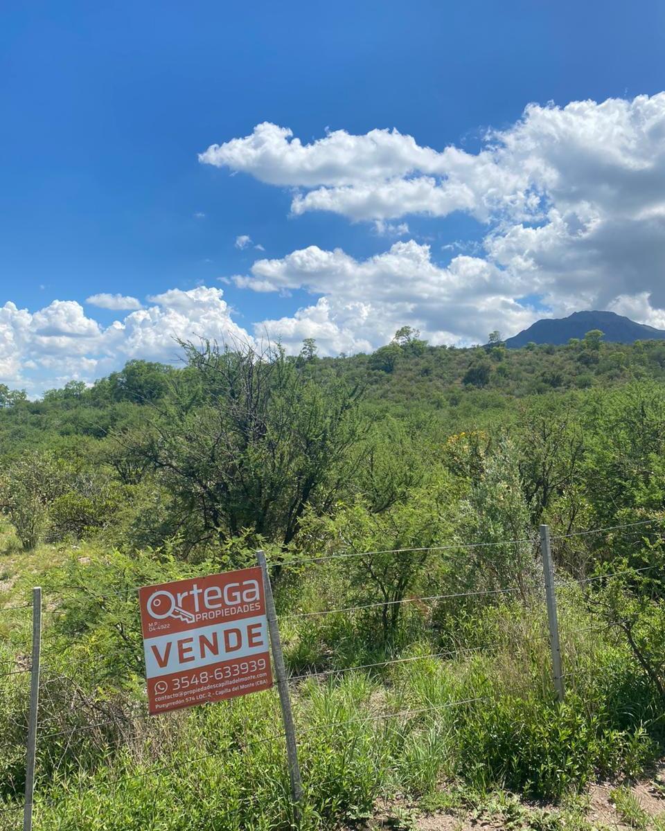 Los Molles y Los Aromos 1730 Tres Fracciones Contiguas con Frente a 2 Calles 3