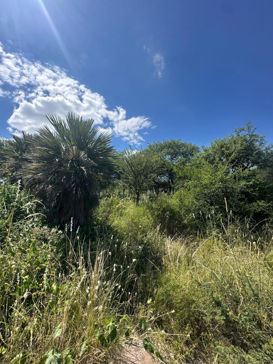 Los Aromos Dos Lotes Contiguos en Pequeño Bosquecito Serrano 3