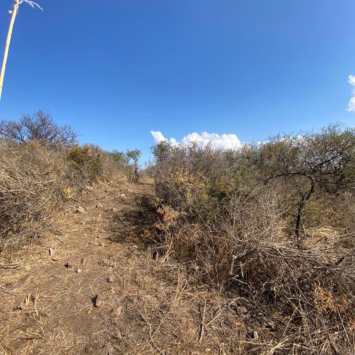 Ruta a San Marcos - Media Hectárea a Solo 30 Cuadras del Centro 1