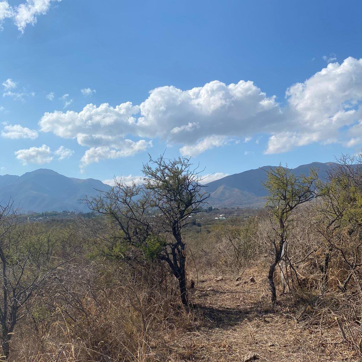 Ruta a San Marcos - Media Hectárea a Solo 30 Cuadras del Centro 5