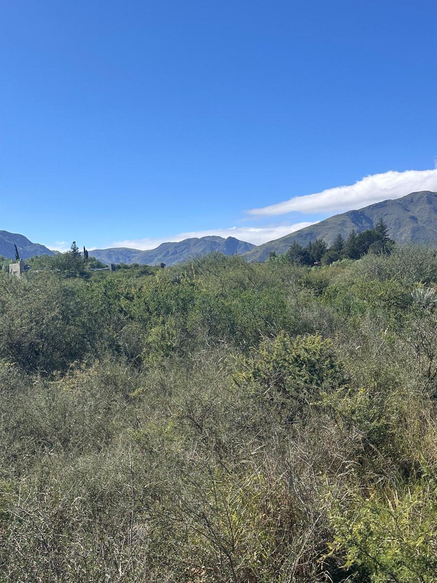Terreno Ruta 38 y Rio Gualeguay, a Solo 4 Cuadras de La Entrada Al Pueblo. 5
