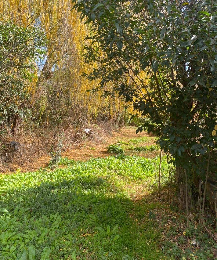 Foto de Saavedra 155 - Lote cerca del entro y excelente vegetación, imagen 4