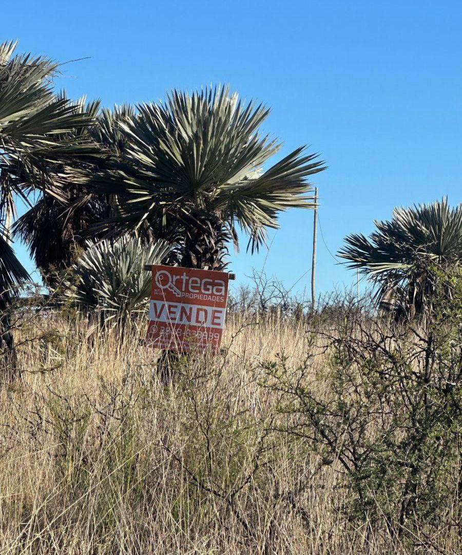 Foto de Fantástico terreno en esquina con excelente proyección en Los cocos, imagen 3