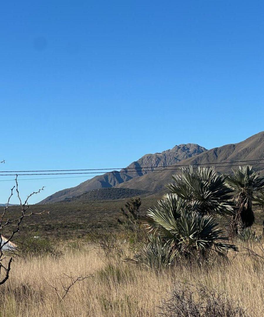 Foto de Fantástico terreno con excelente proyección en Los cocos, imagen 3