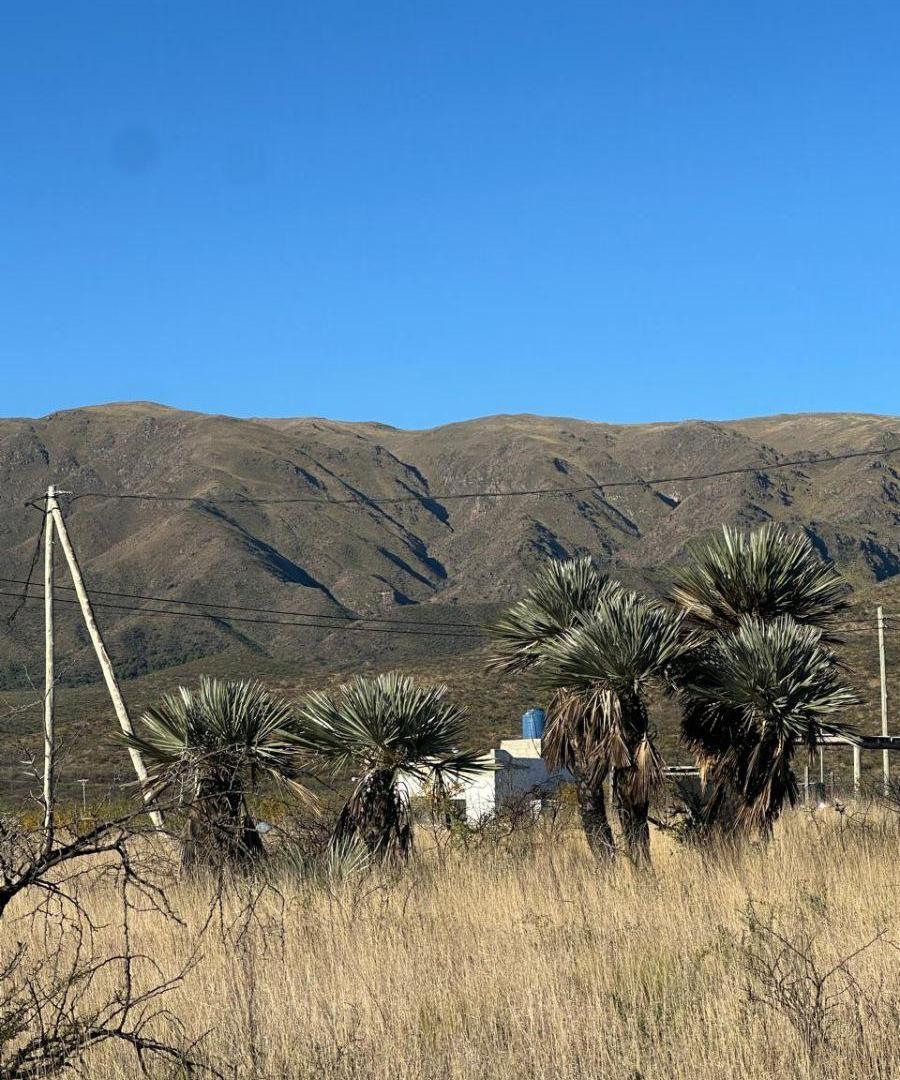 Foto de Fantástico terreno con excelente proyección en Los cocos, imagen 2