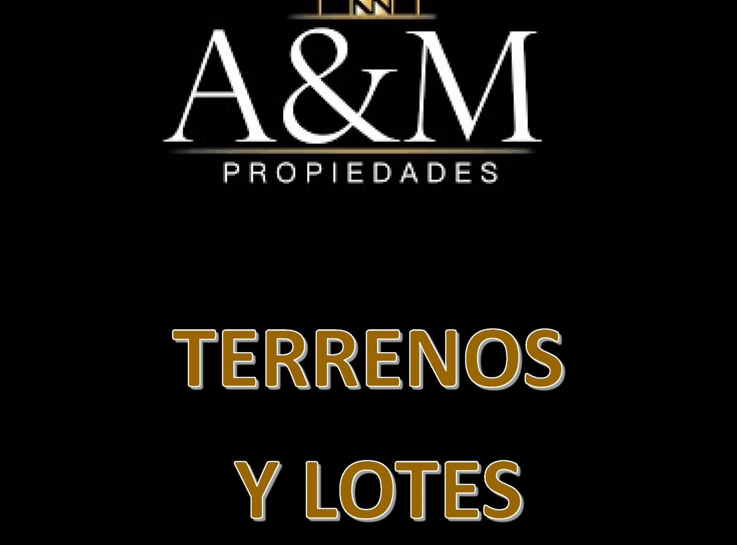 Único Lote En Venta Sobre Avenida Avellaneda 3500 Zona Comercial Flores