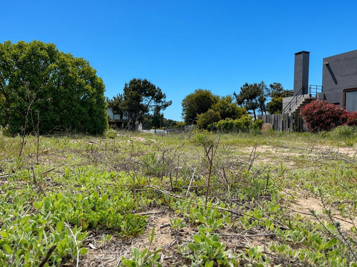 Foto de VENTA Lote en Marítimo I, imagen 2