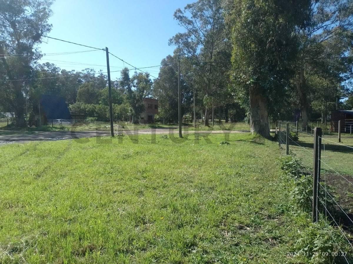 Venta Terreno Miramar Parque Bristol 2