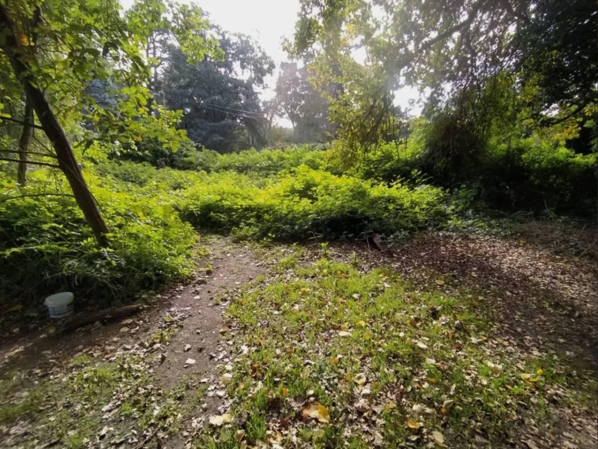 Foto de VENTA LOTE 654M2 SIERRA DE LOS PADRES, imagen 5