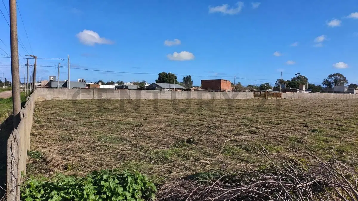 VENTA LOTE GALPON 5000 M2 NECOCHEA 5