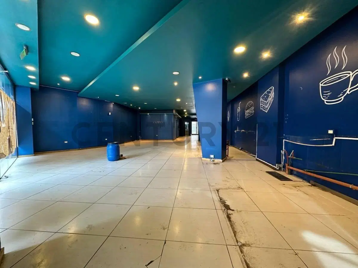 VENTA LOCAL COMERCIAL CON SOTANO Y PATIO 2