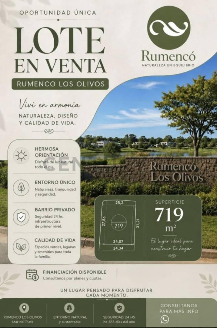 Foto de VENTA TERRENO RUMENCO LOS OLIVOS, imagen 2