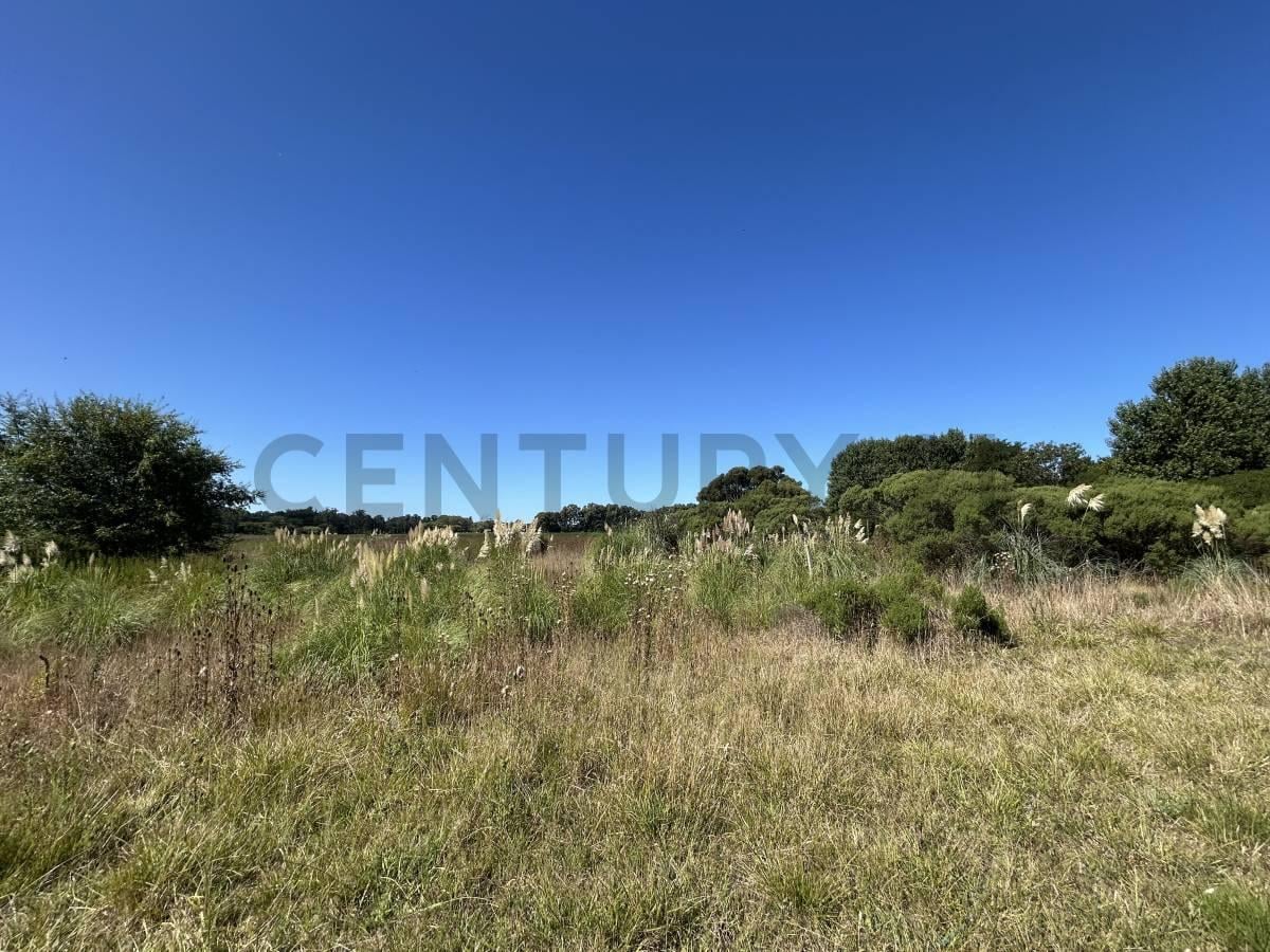 Foto de VENTA TERRENO SANTA ROSA DEL MAR,MAR DEL PLATA, imagen 1