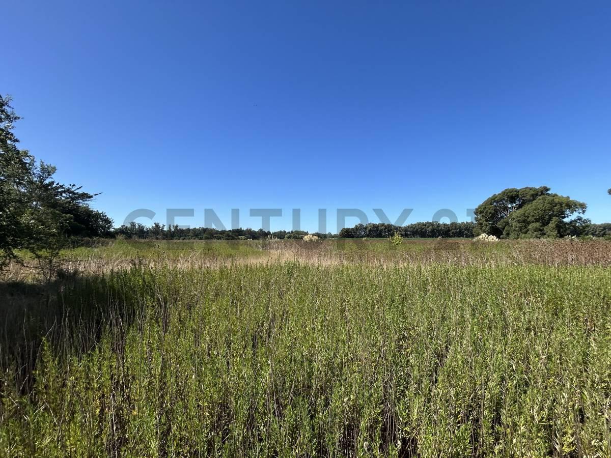 Foto de VENTA TERRENO SANTA ROSA DEL MAR,MAR DEL PLATA, imagen 3