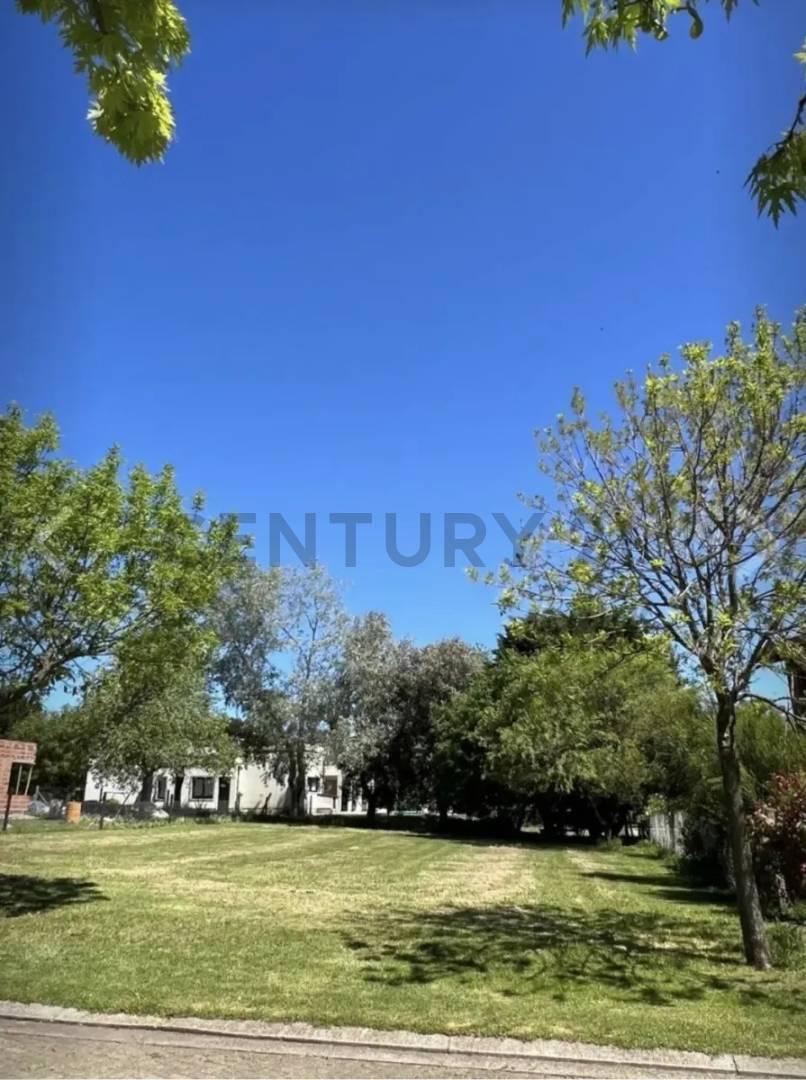 Foto de VENTA LOTE BARRIO PRIVADO TIERRA & MAR, imagen 4